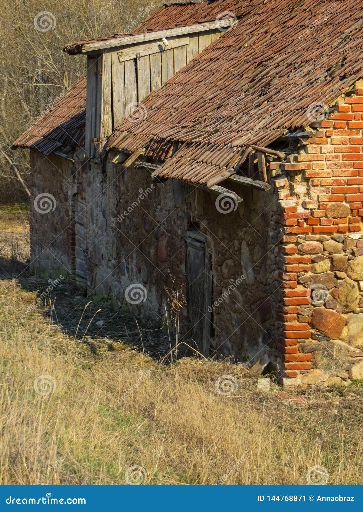 Old Building of a Collapsed Barn in a Field on a Farm in Latvia Stock