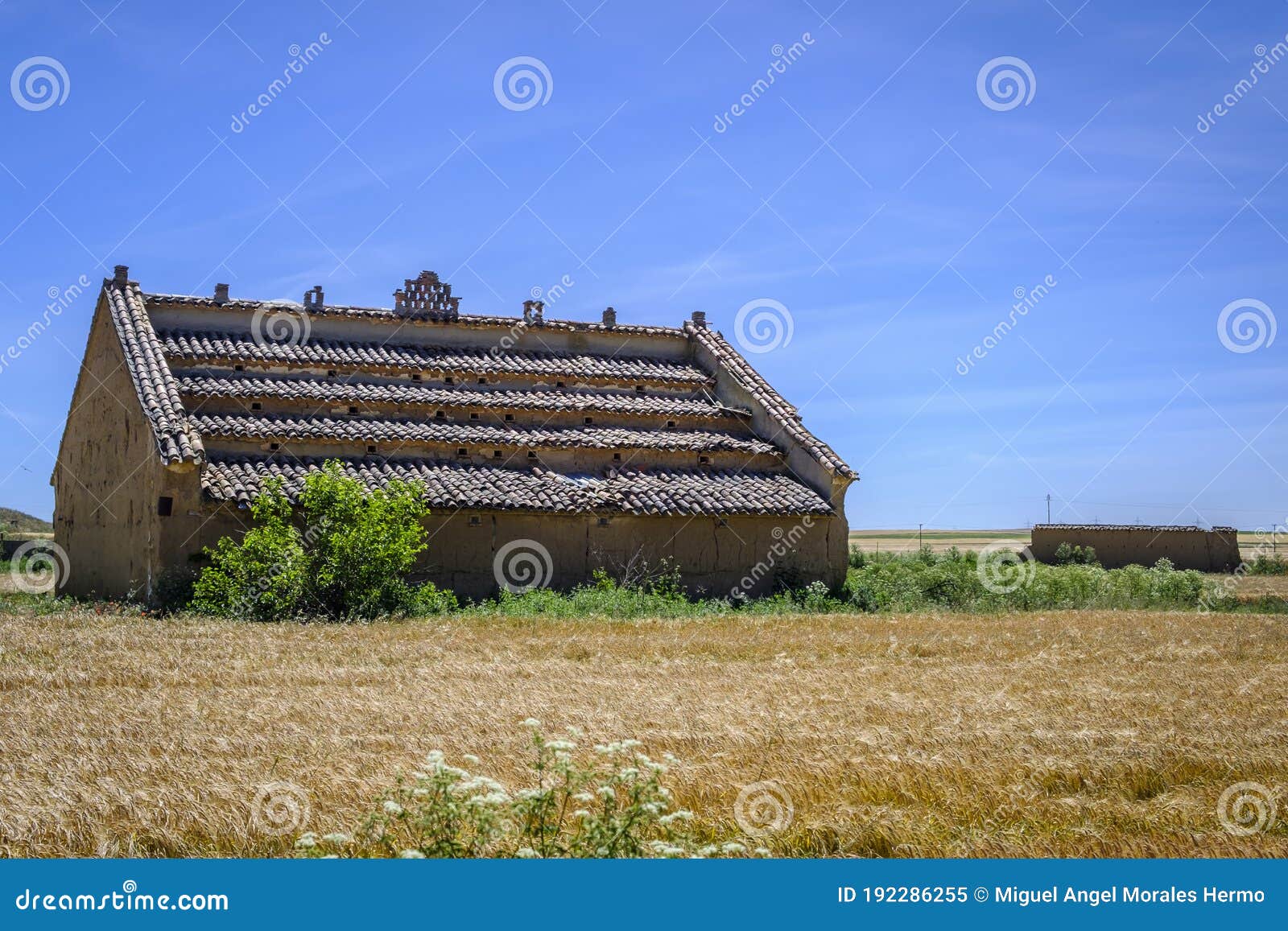 old buildings used as dovecotes the interior of spain