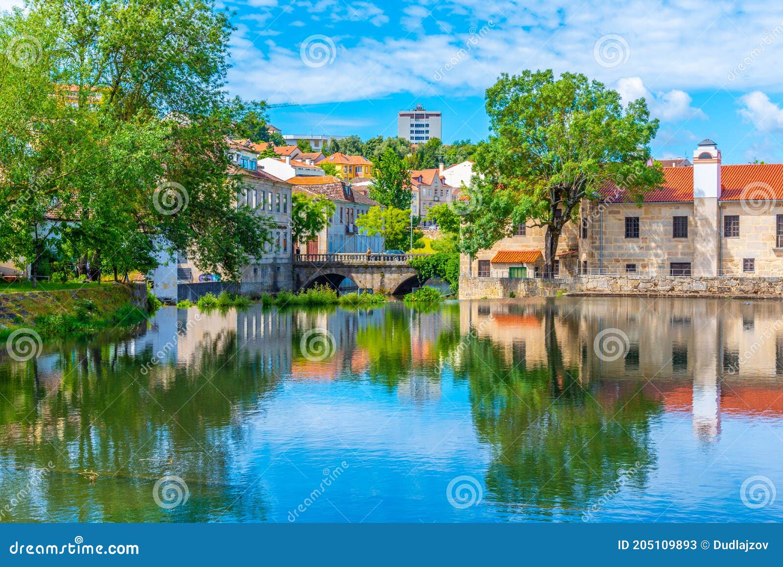 old buildings in viseu reflected on a local creek, portugal