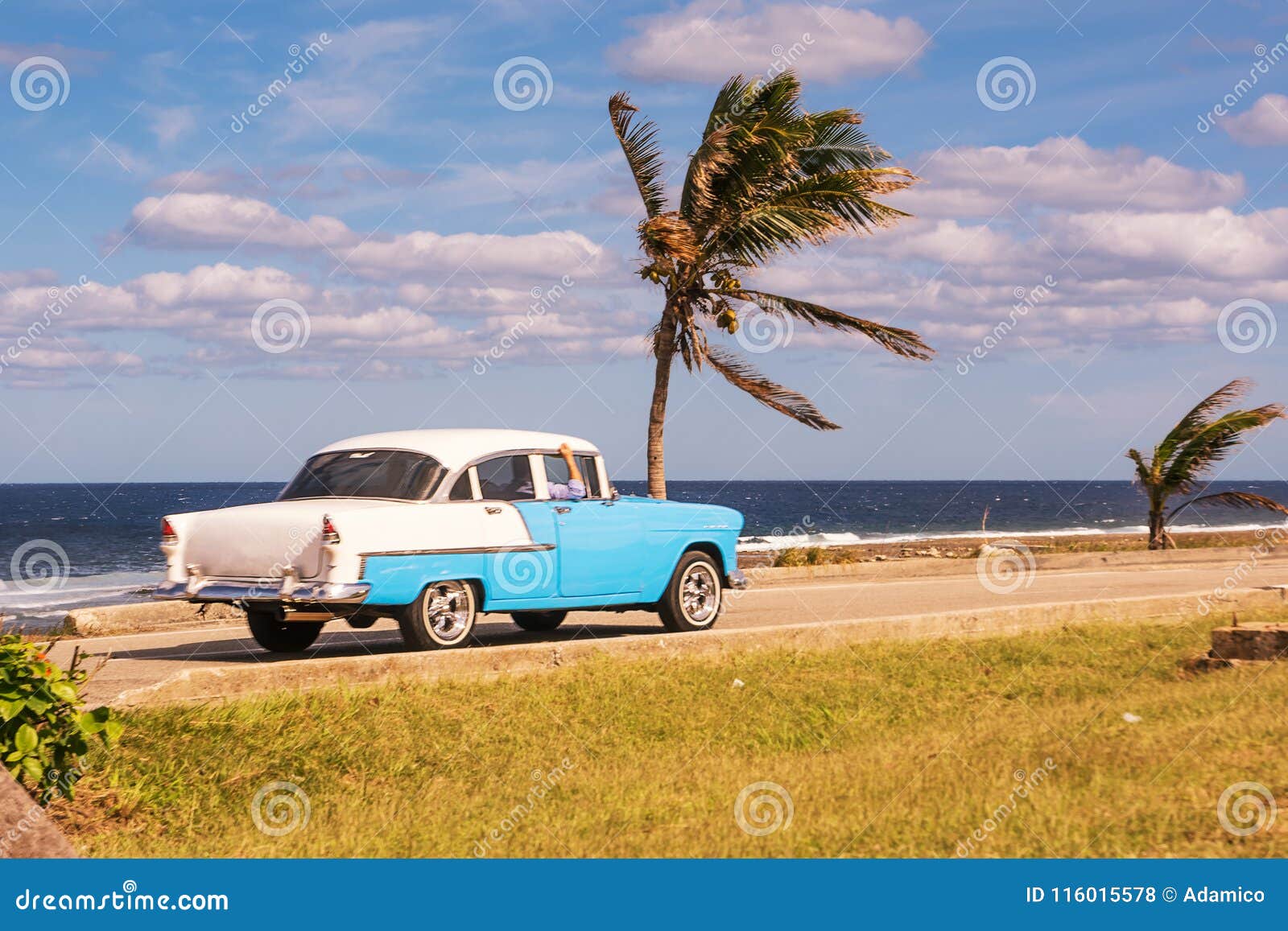 Old Car and Palm Trees on the Waterfront in Cuba Stock Photo Image of