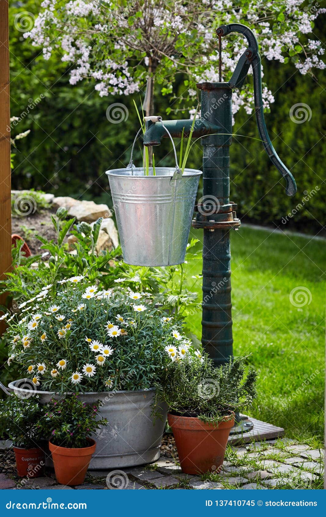 Old Cast Iron Pump and Metal Pail Stock Image - Image of