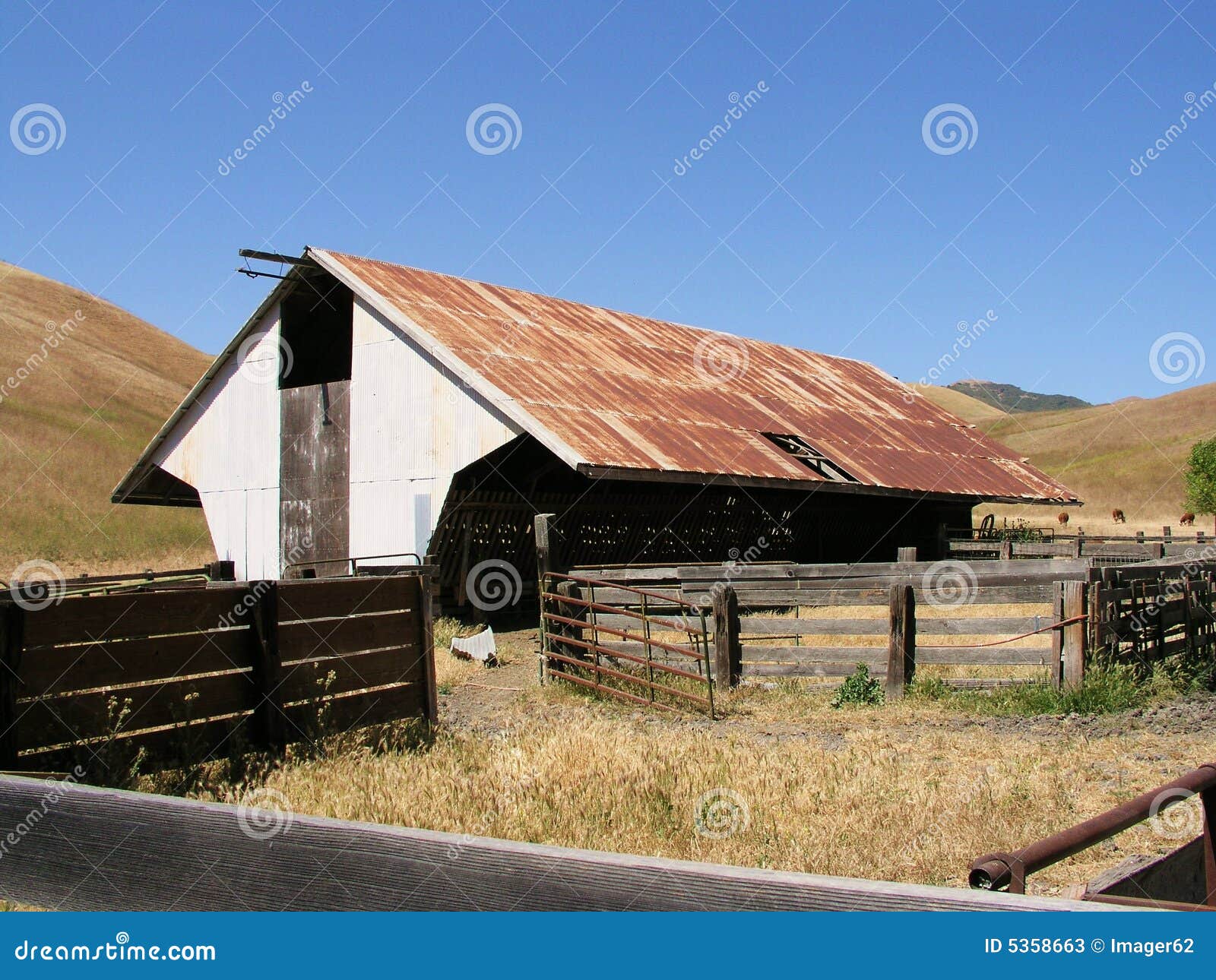 Old Cattle Barn stock image. Image of dusty, feed, cattle 