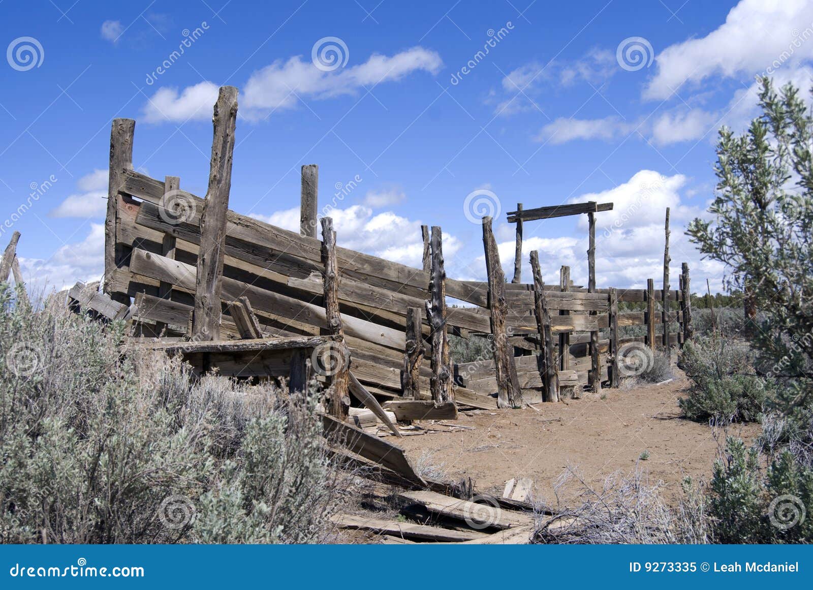 old cattle chute in central oregon desert