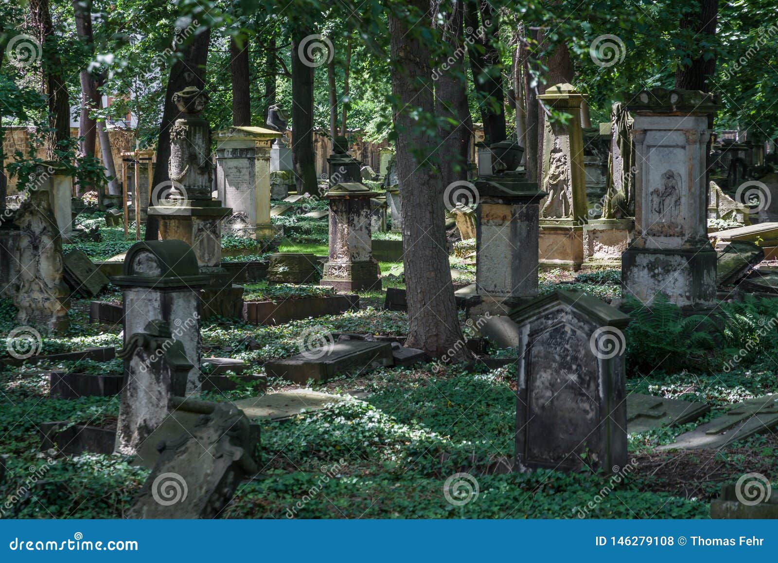 Old cemetery in Dresden editorial stock photo. Image of garden 146279108