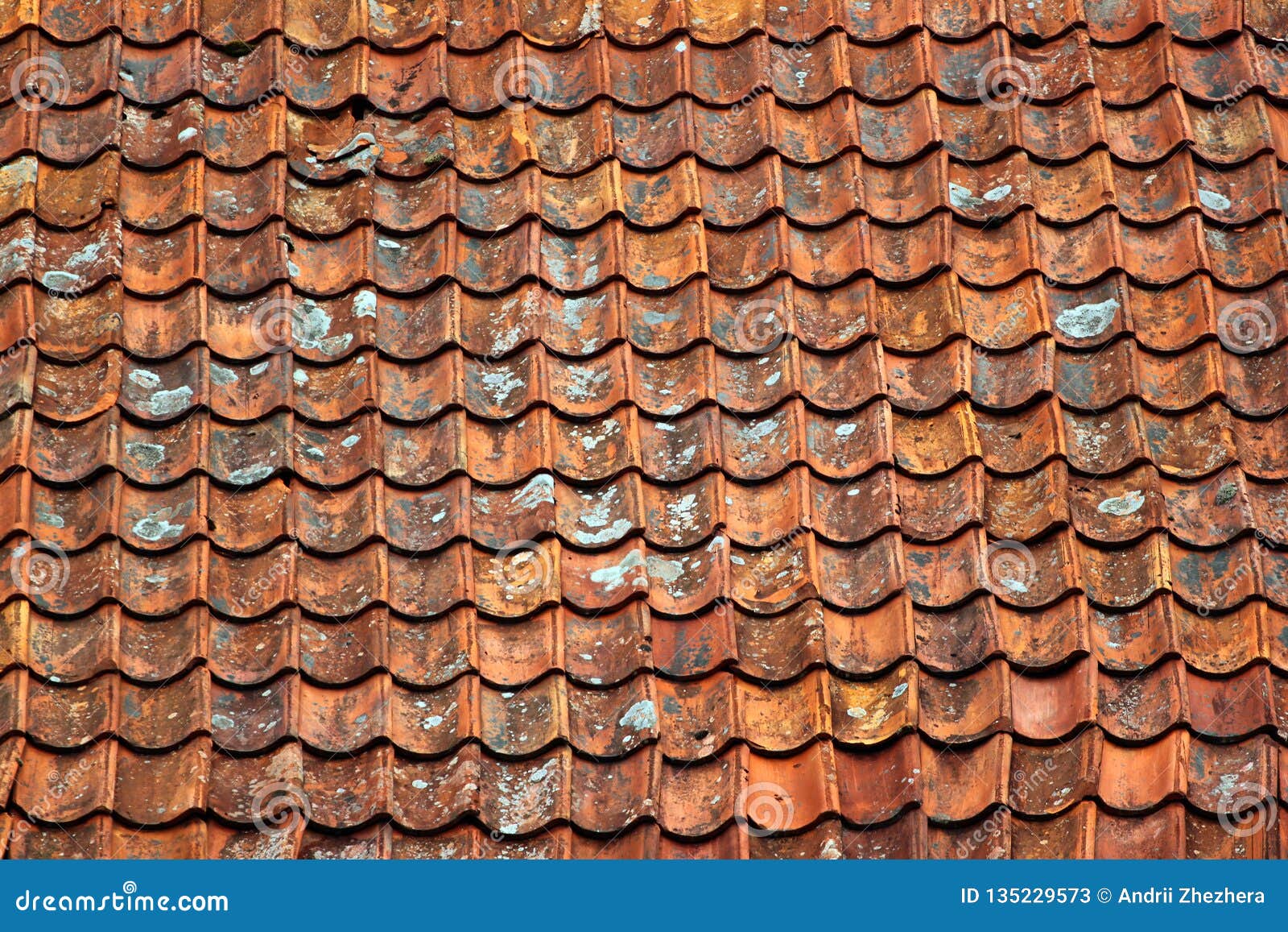 Old Ceramic Tiles on a Roof Stock Image Image of structure, clay