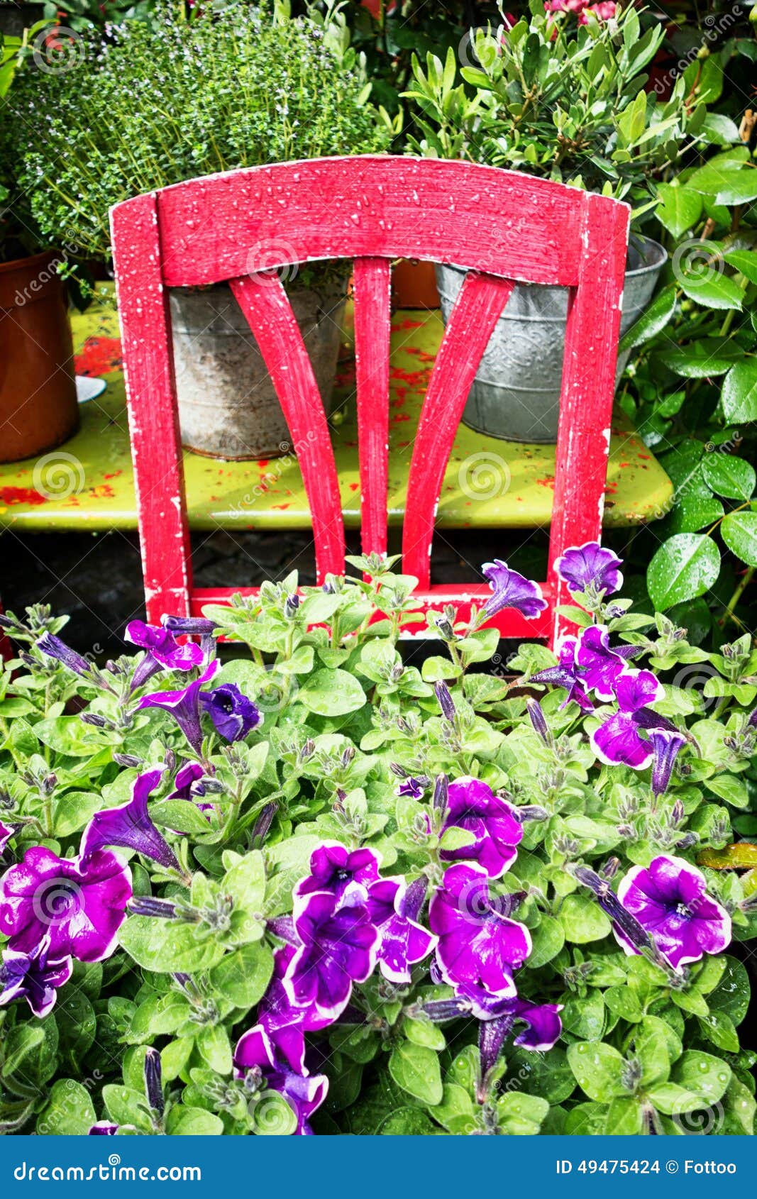 Old chair and flowers stock photo. Image of luxury, scene 49475424