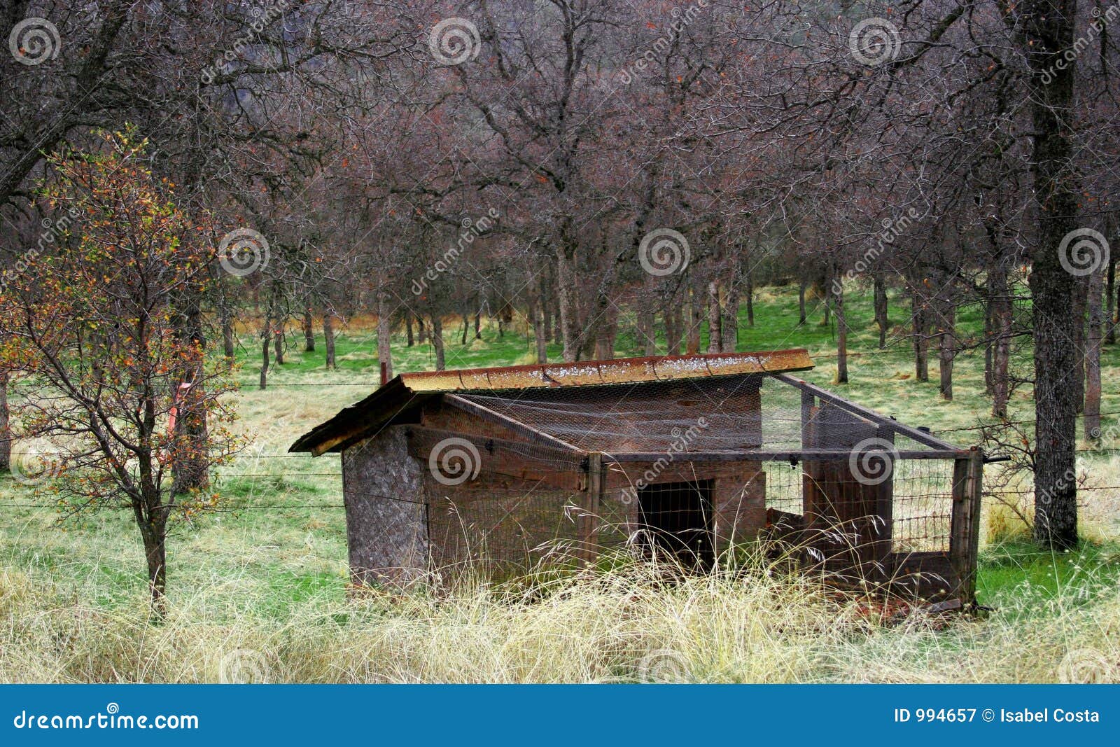 An Old Chicken Coop Royalty Free Stock Photography - Image ...