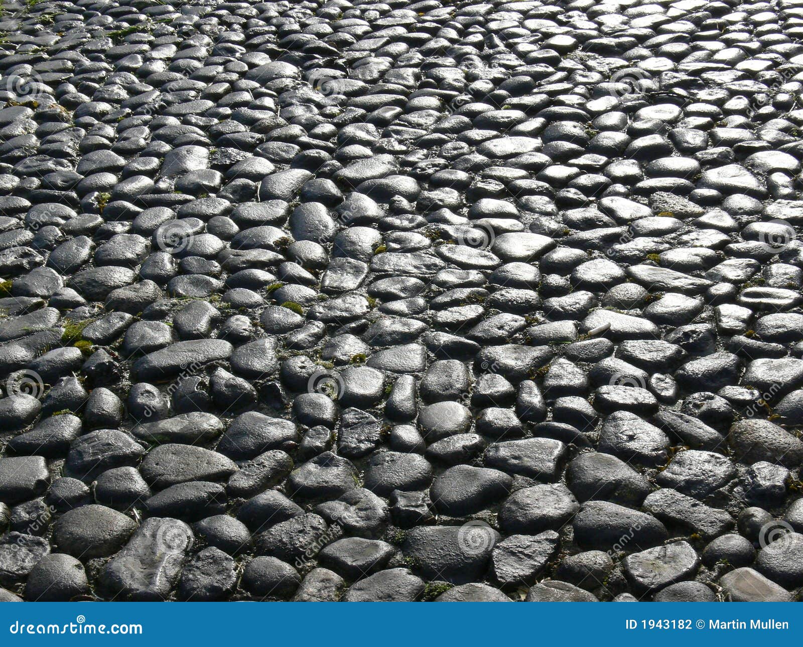 Big Cobbles, Cobblestones On The Ground. Texture Background Stock Photo