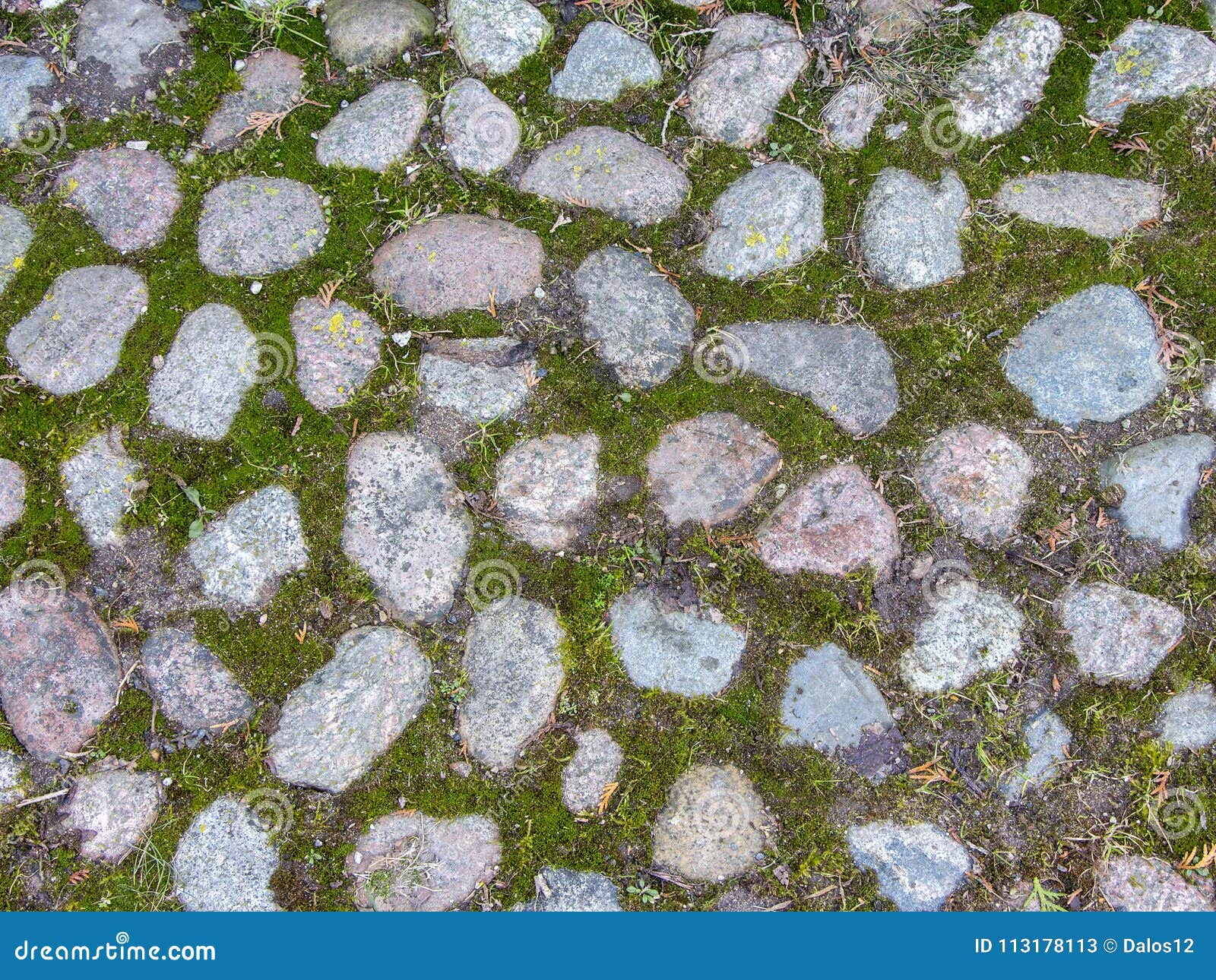 mossy cobblestone texture