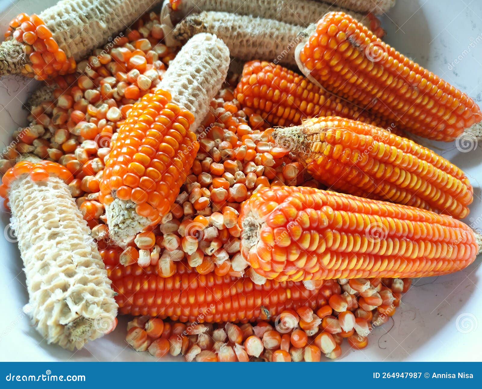 Old corn for chicken feed stock image. Image of staple - 264947987
