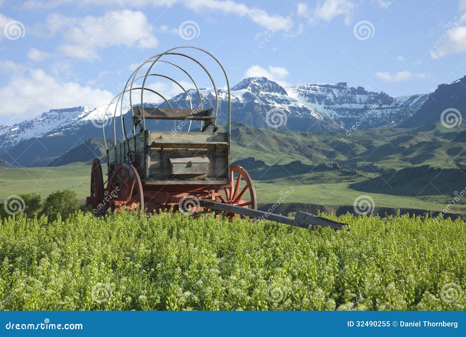 old covered wagon in the absaroka mountains of wyoming