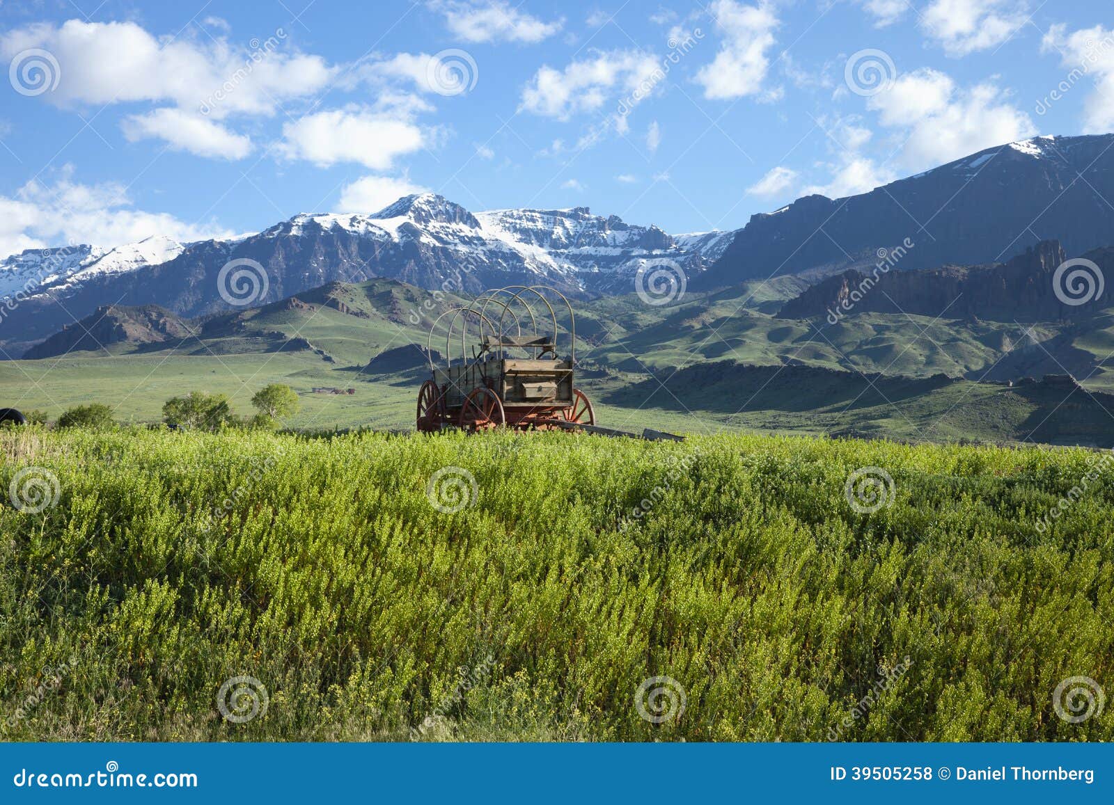 old covered wagon in the absaroka mountains of wyo