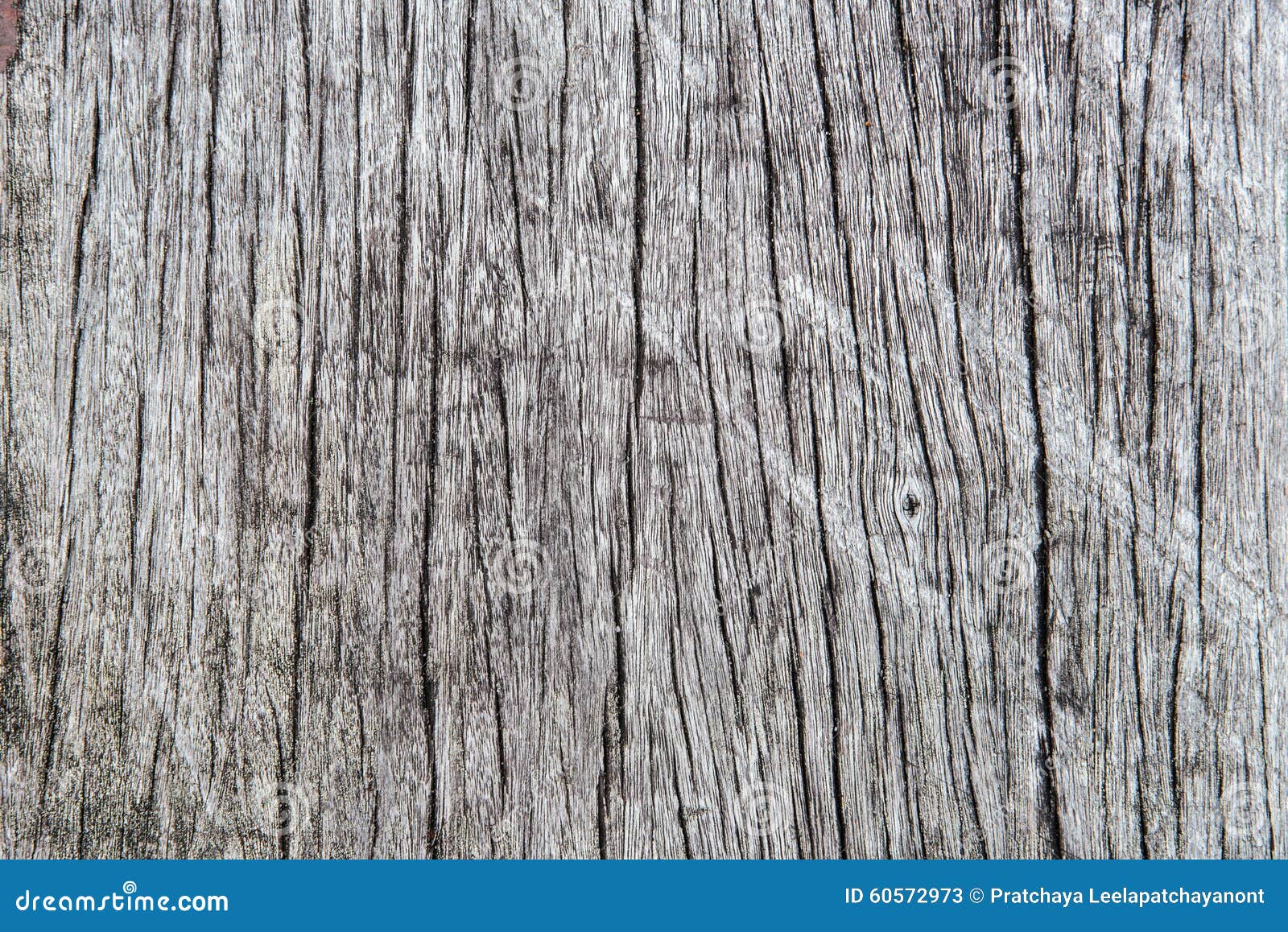 Old Cracked Wood Grain Texture Stock Image Image of nature, wall