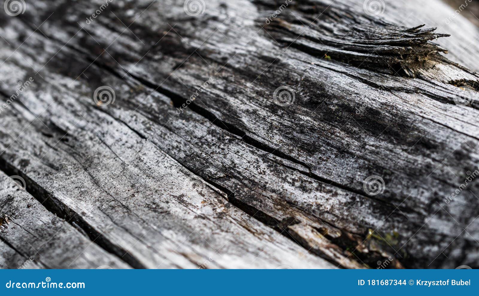 old cracked wood with visible details. textura