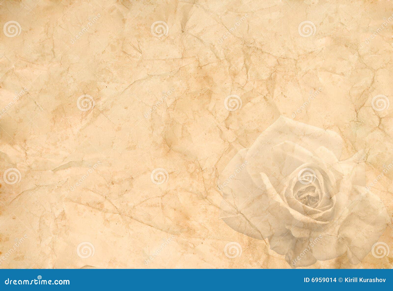 Old Crumpled Paper Rose Stock Illustrations – 359 Old Crumpled Paper Rose  Stock Illustrations, Vectors & Clipart - Dreamstime