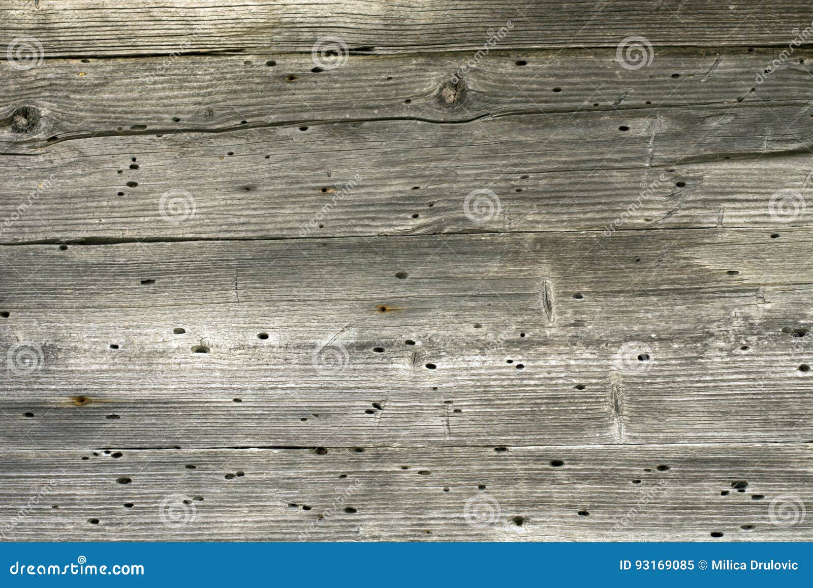 Old Damage Wood Texture Termite Damage Wood Floor Stock Image