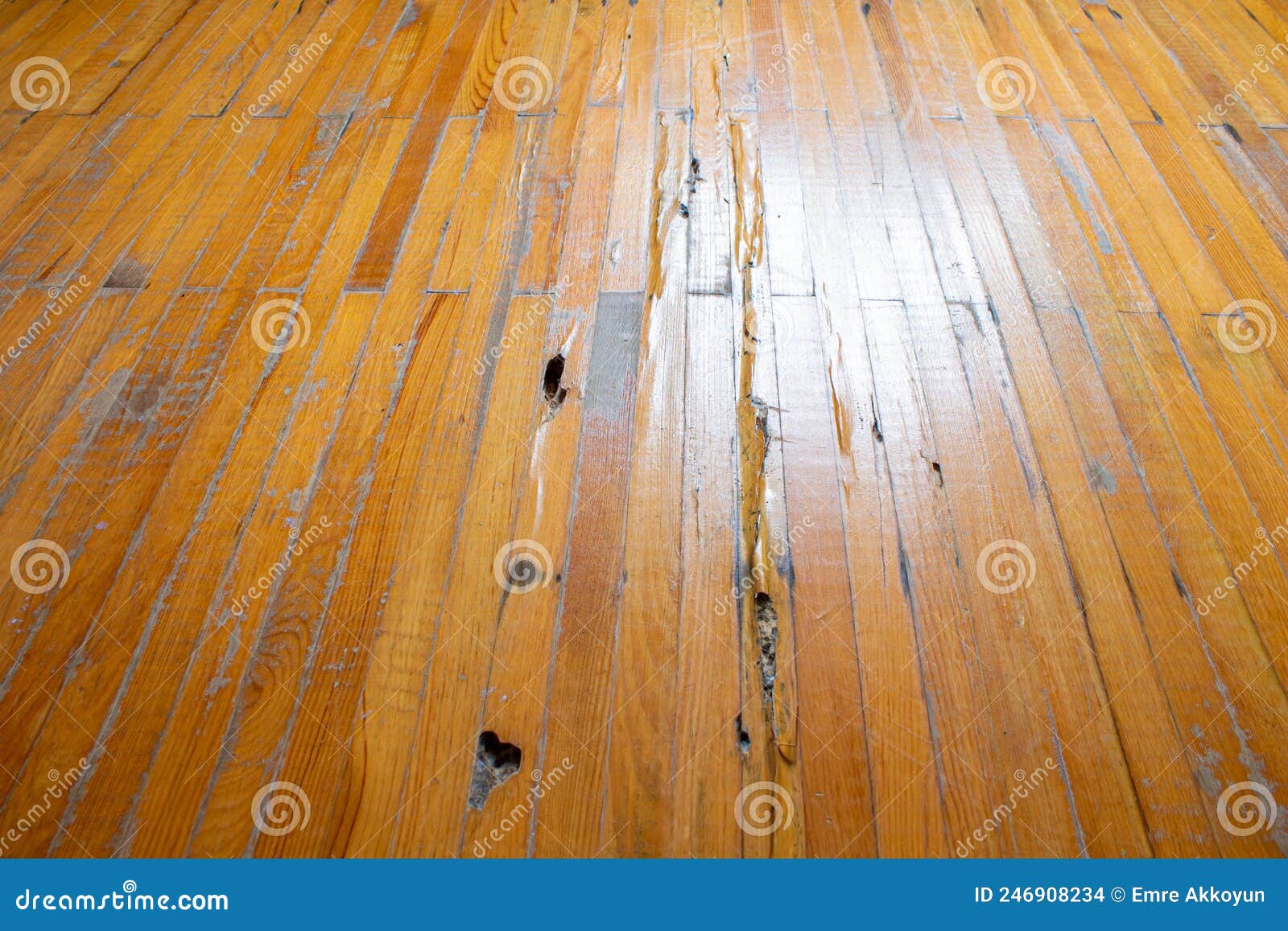 Old damaged parquet floor. stock photo. Image of board 246908234
