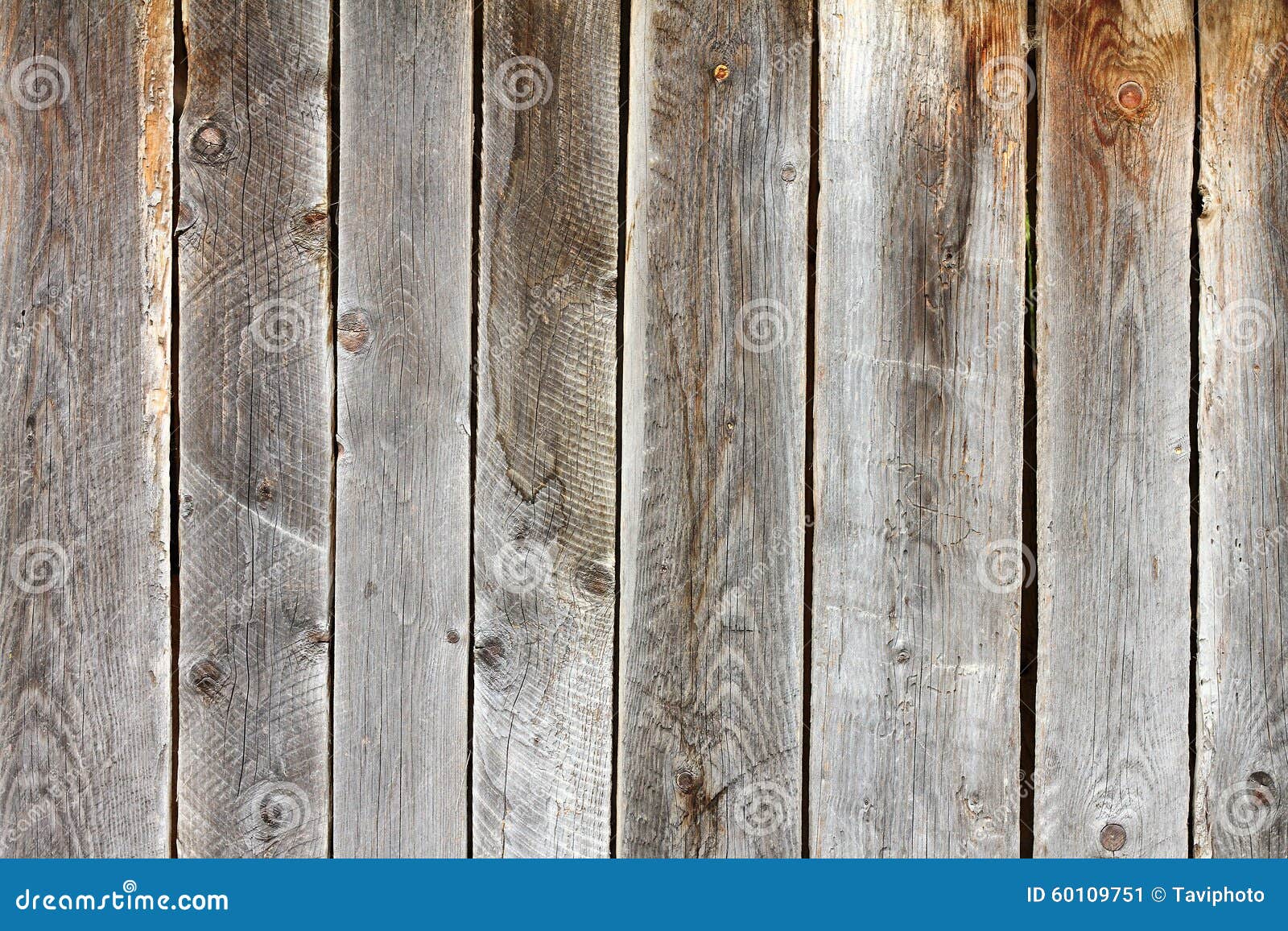 Old damaged spruce planks stock image. Image of nature 60109751