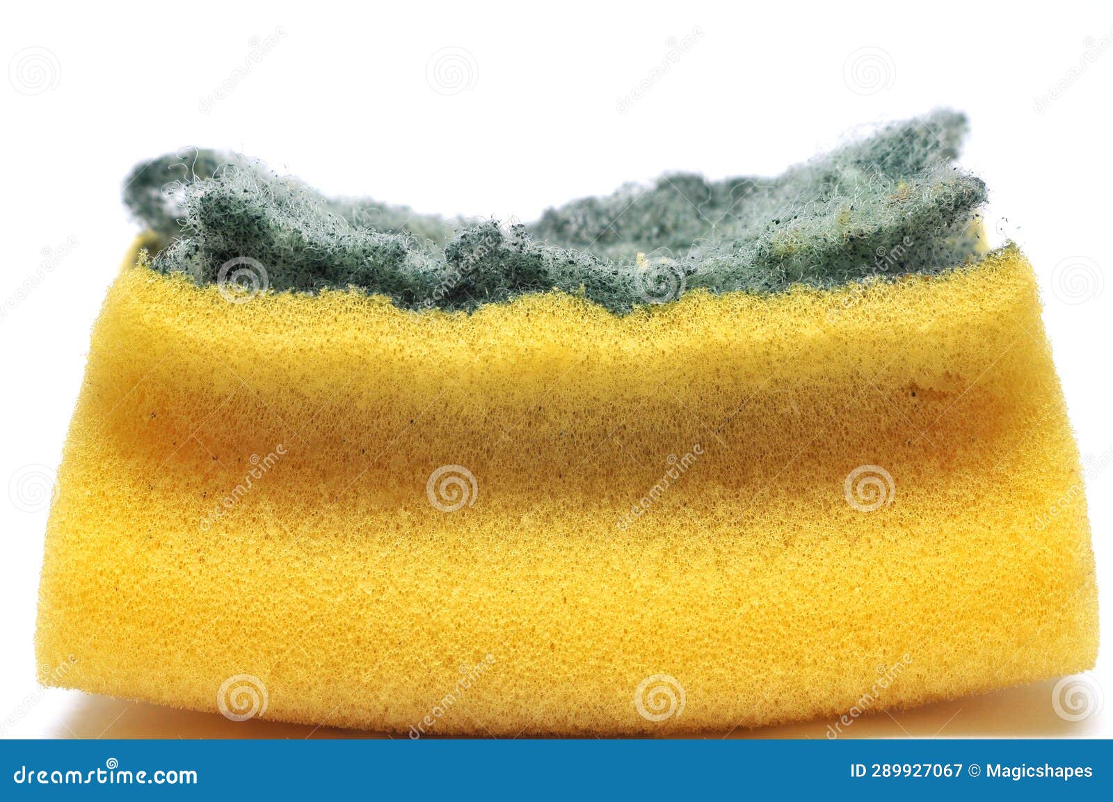 Old kitchen sponge stock image. Image of dish, danger 289927067
