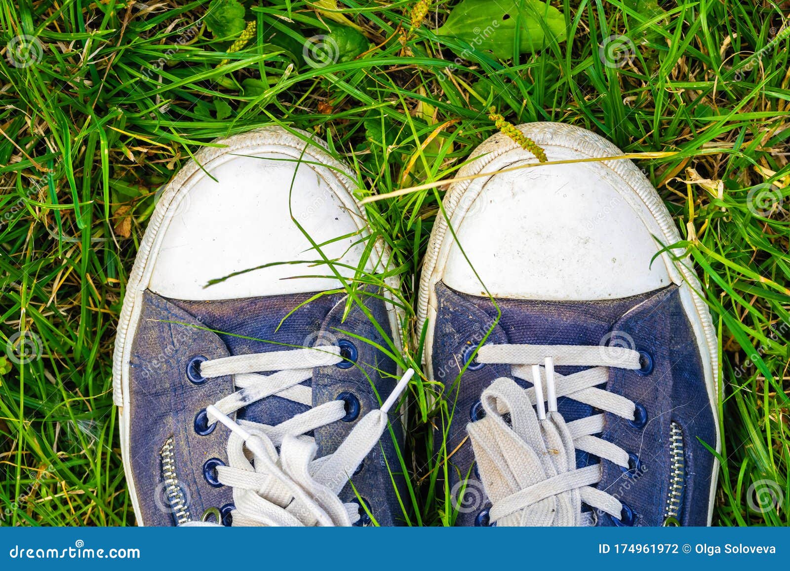 Old, Dirty, Shabby Sneakers on the Green Grass. Hiking Travel Concept ...