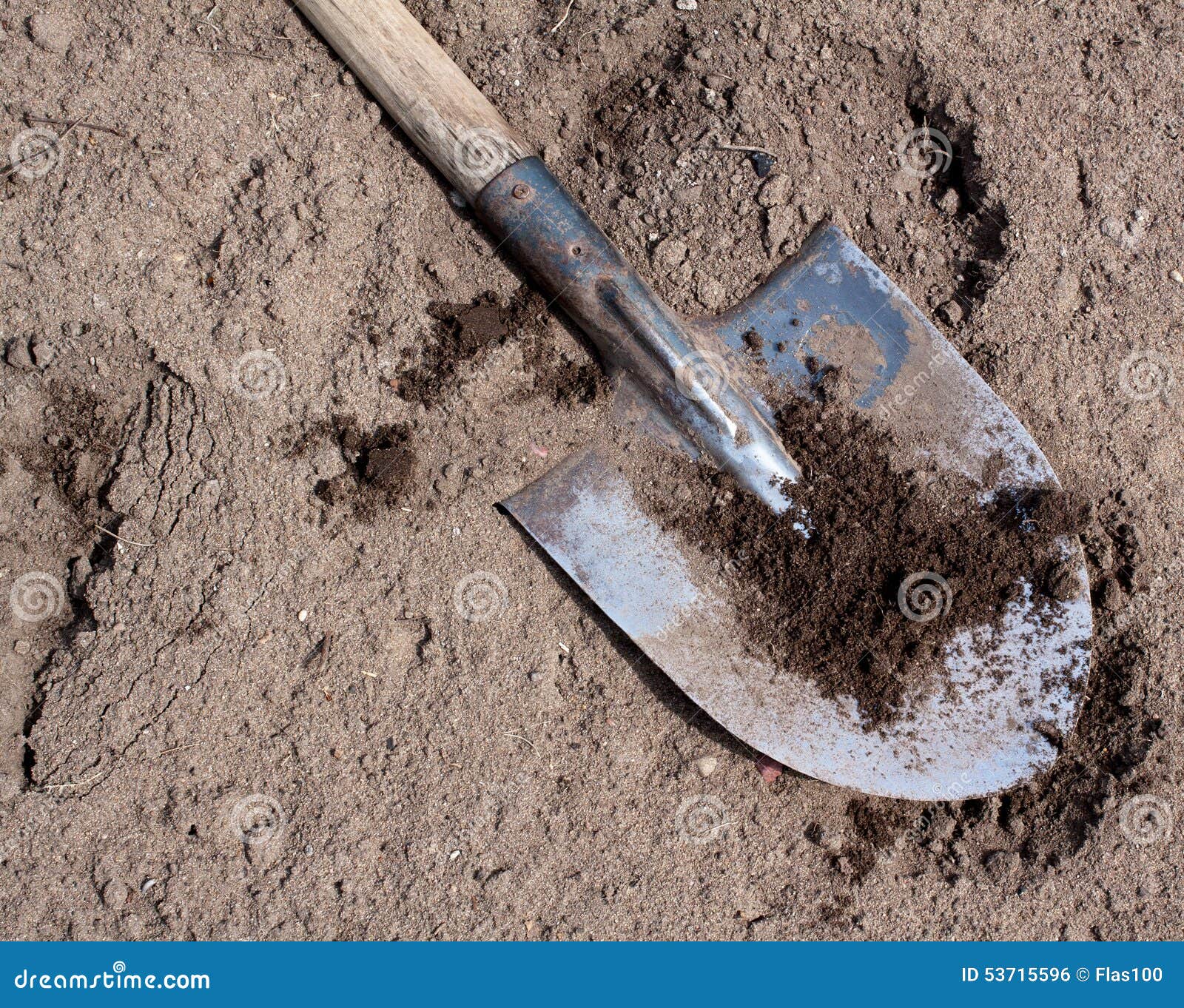 Old Dirty Shovel on the Dry Ground Stock Photo Image of environment