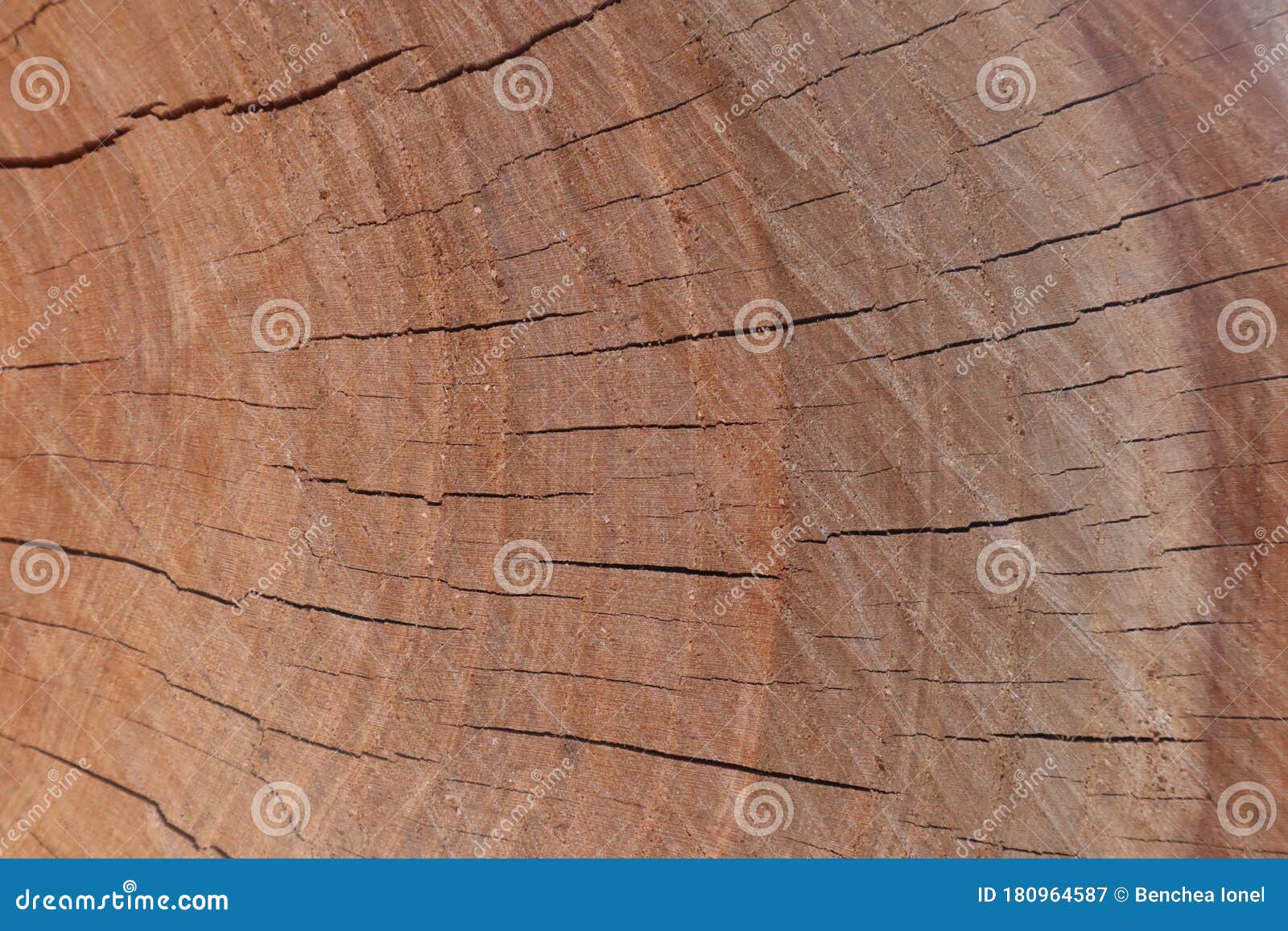 old dirty wood texture background, natural photo lighiting