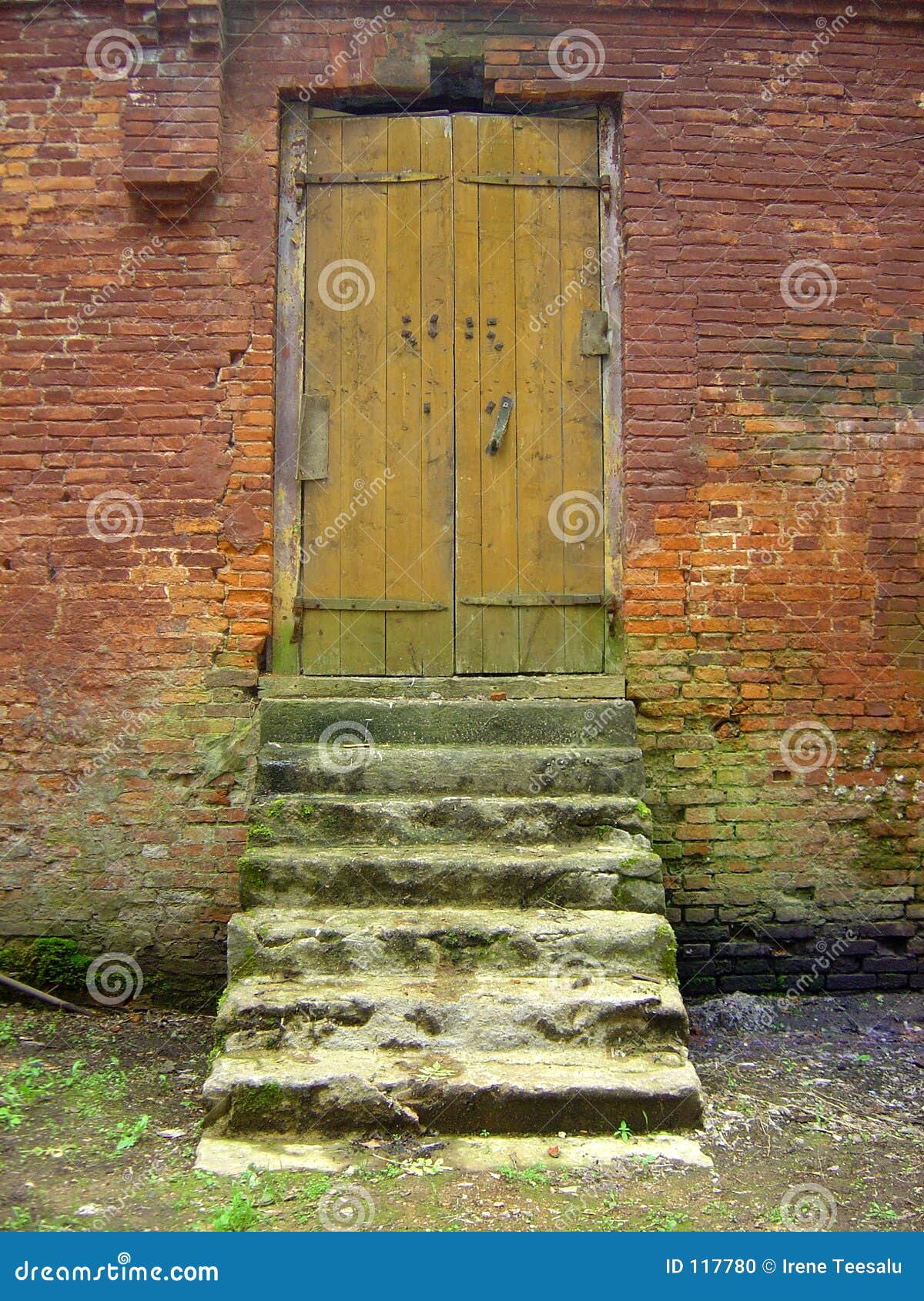 Old Door and Mosscovered Doorsteps Stock Photo Image of mossy