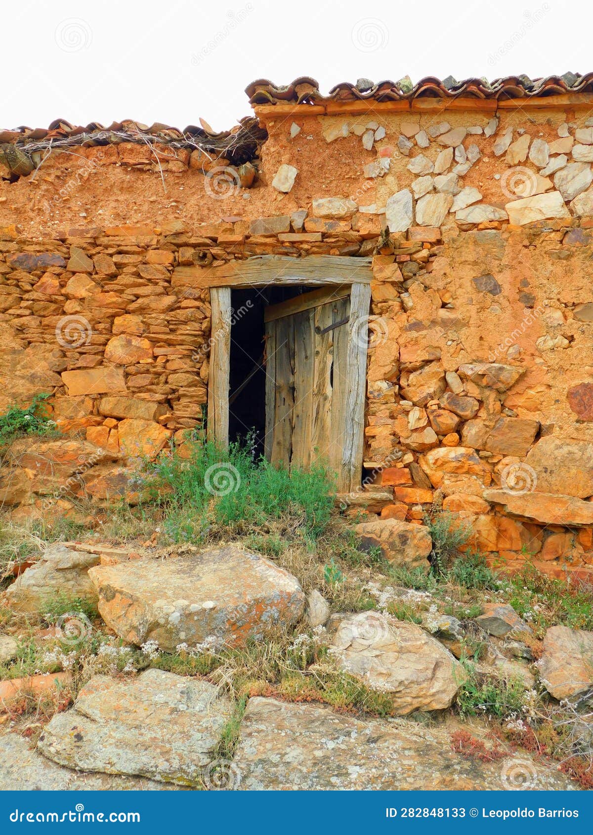 old door in rural landscapes in zamora province