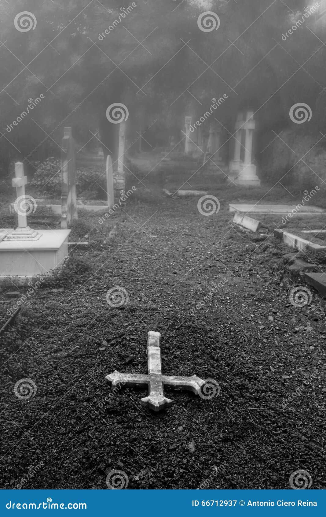 old english cemetery in the province of mÃÂ¡laga