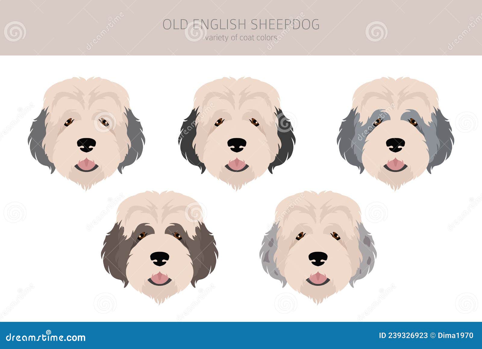 Old English Sheepdog Clipart. Different Poses, Coat Colors Set. Vector  Illustration Royalty Free SVG, Cliparts, Vectors, and Stock Illustration.  Image 180926946.