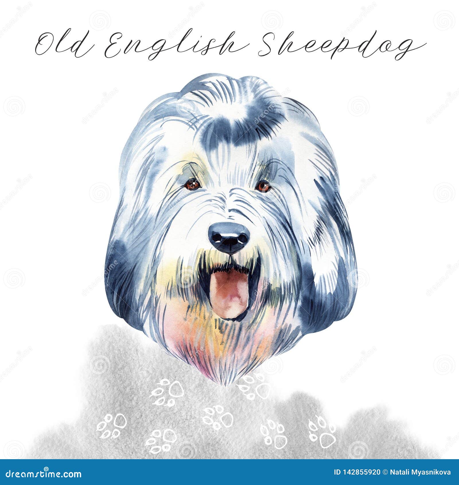 Old English Sheepdog Used To Watch Livestock At Farms Isolated Digital Art Illustration England Originated Pet From Stock Illustration Illustration Of Domestic Canine 142855920