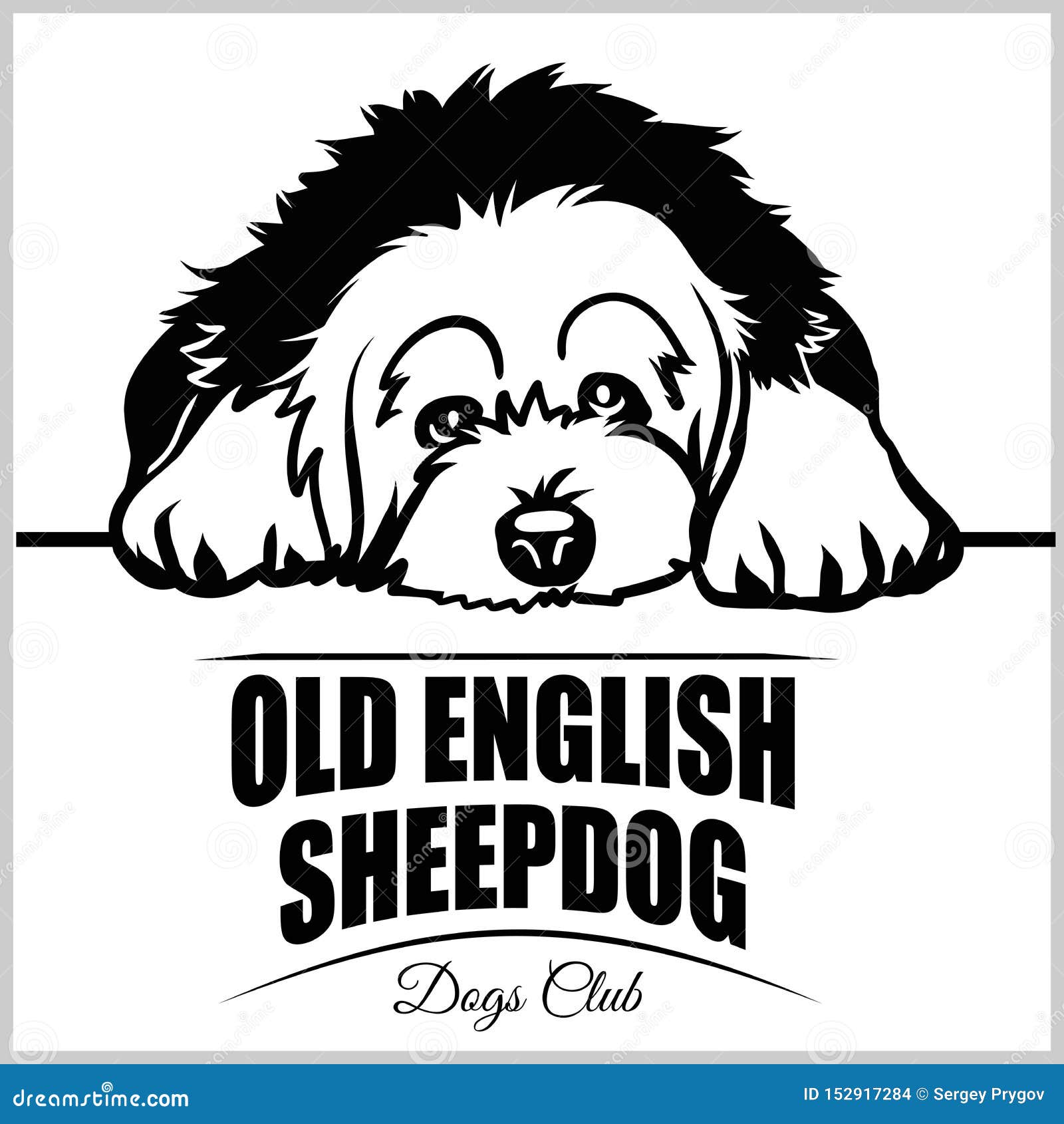 Viejo pastor ingles  Old english sheepdog, I love dogs, Sheepdog