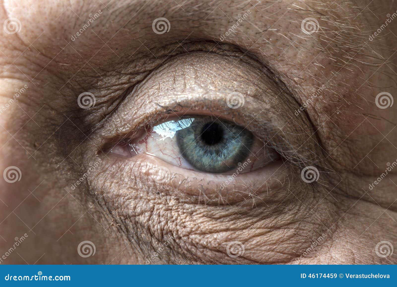Старые глазки. Глаза пожилого человека.