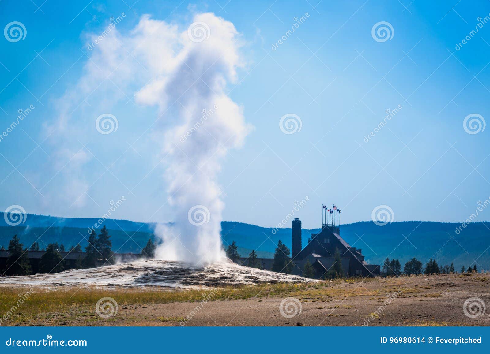 old faithful geyser erupting at yellowstone national park.