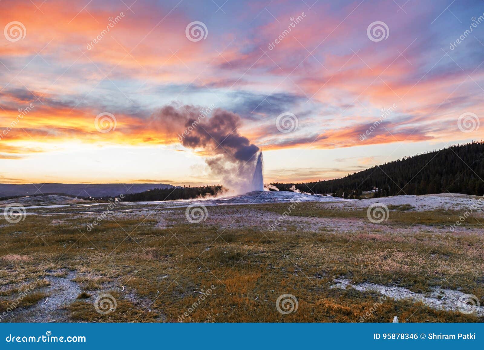 old and faithful geyser erupting at yellowstone national park