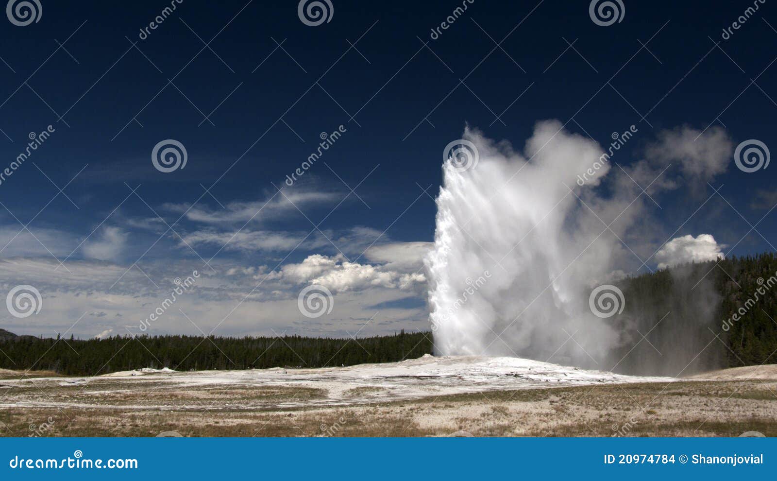 Old Faithful Geyser. Yellowstone National Park. Wyoming.