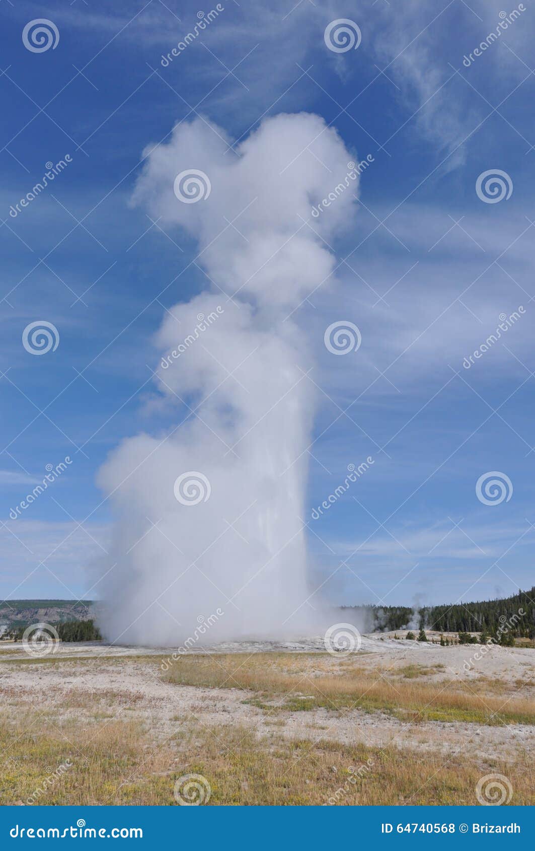 Old Faithful Geyser, Yellowstone National Park, Wyoming, USA.