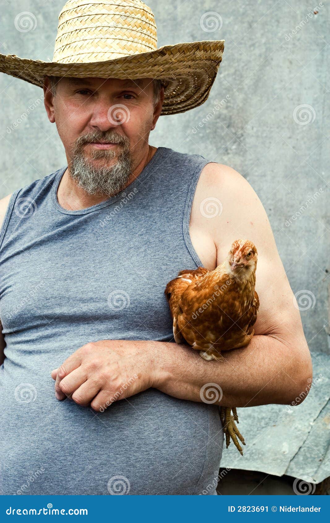 Old farmer stock image. Image of male, animal, protection