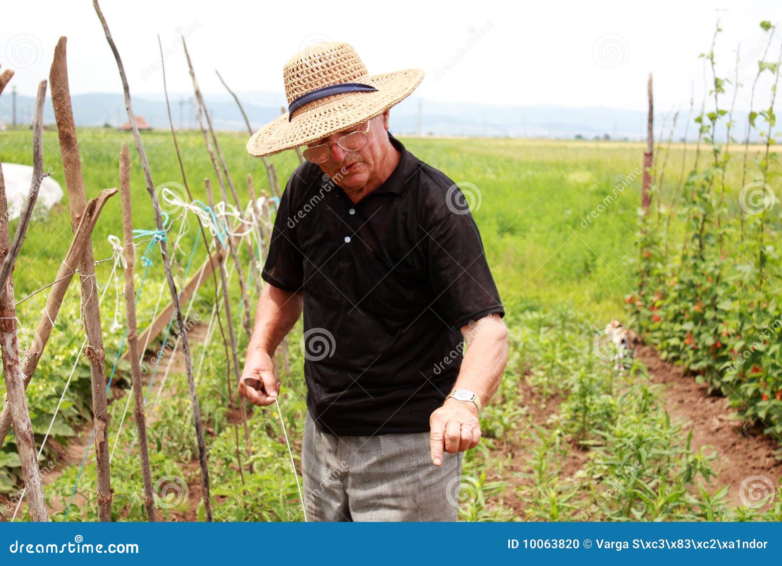 old farmer man explains how to cultivate