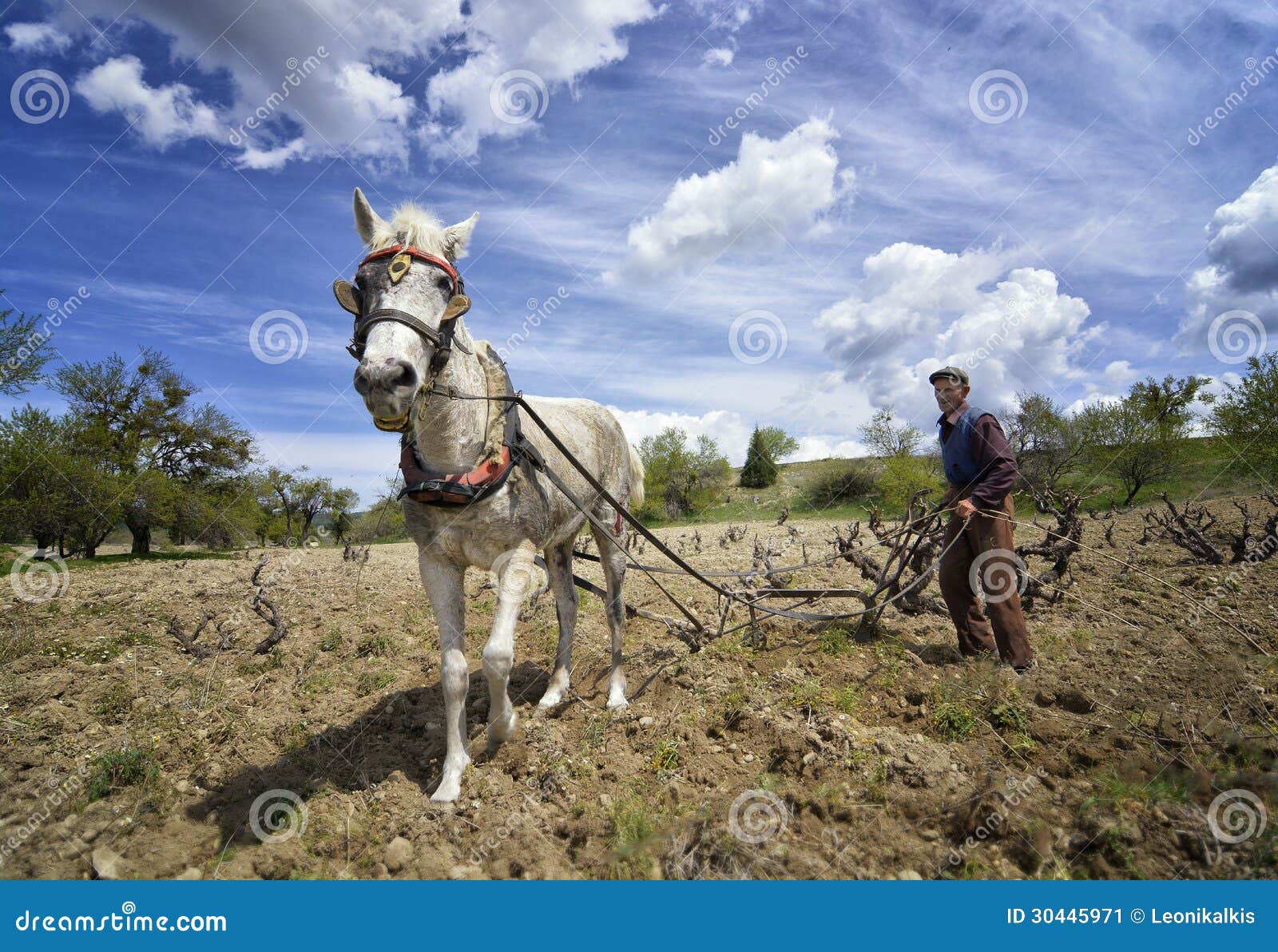 Old farmer plow horse editorial photo. Image of work 30445971