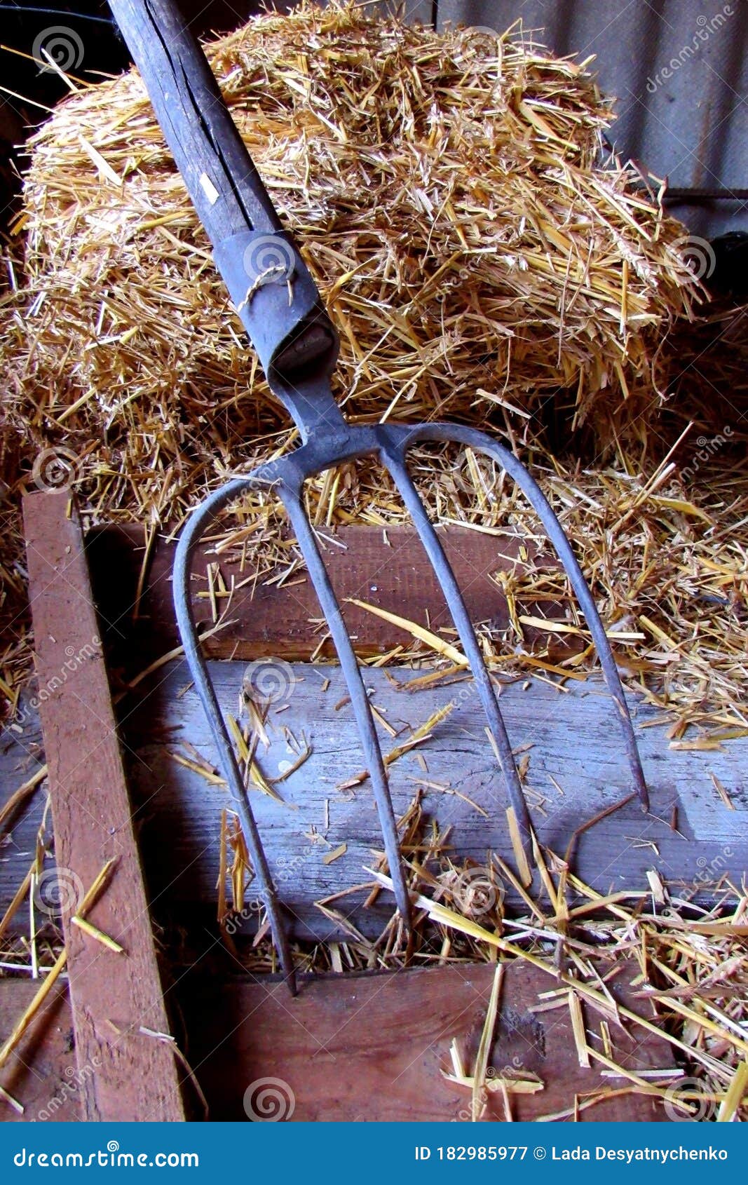 Old Farmer`s Pitchfork Near Straw Stock Image Image of metal, dirty