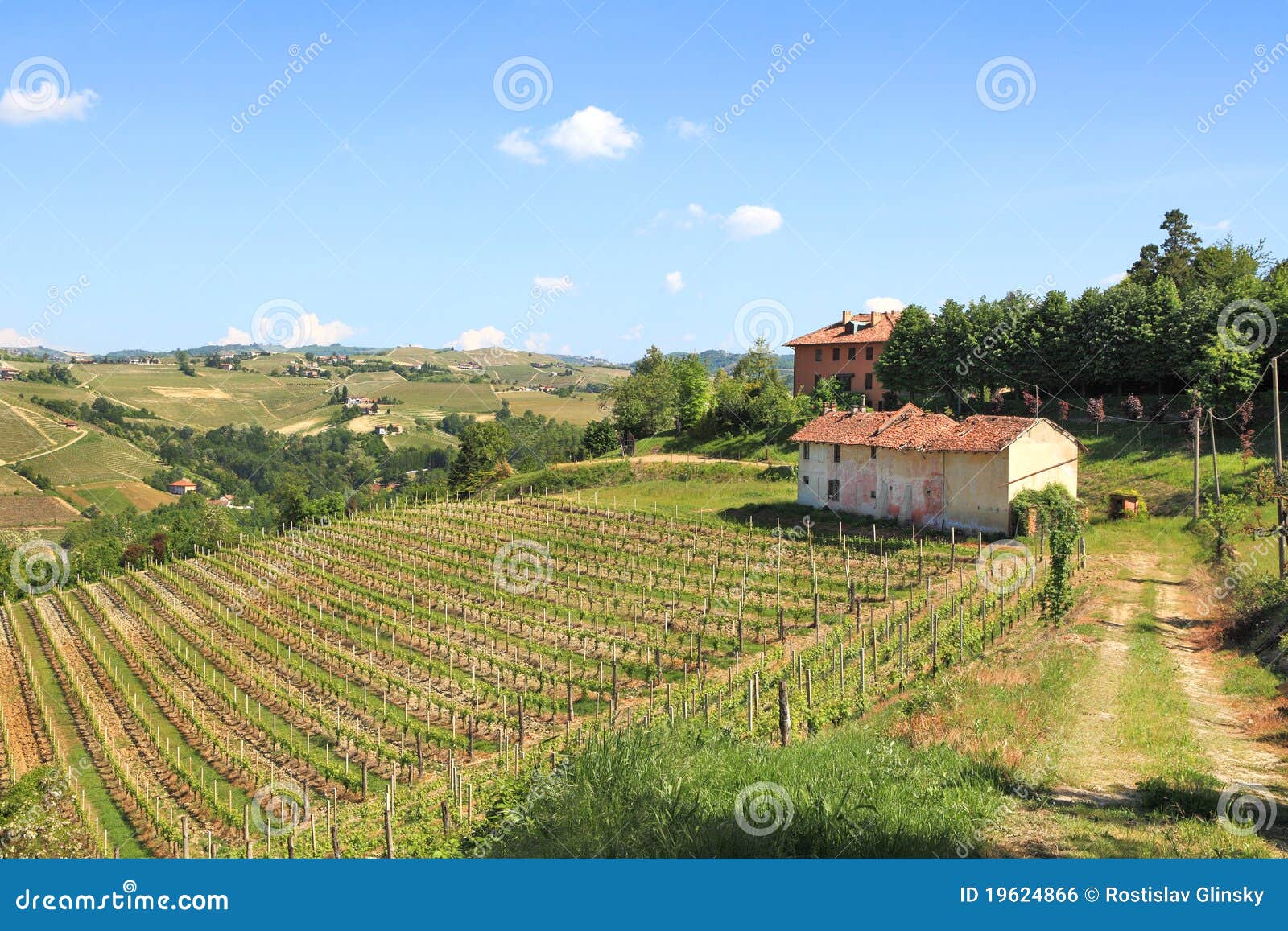 old farmhouse vineyards northern italy 19624866