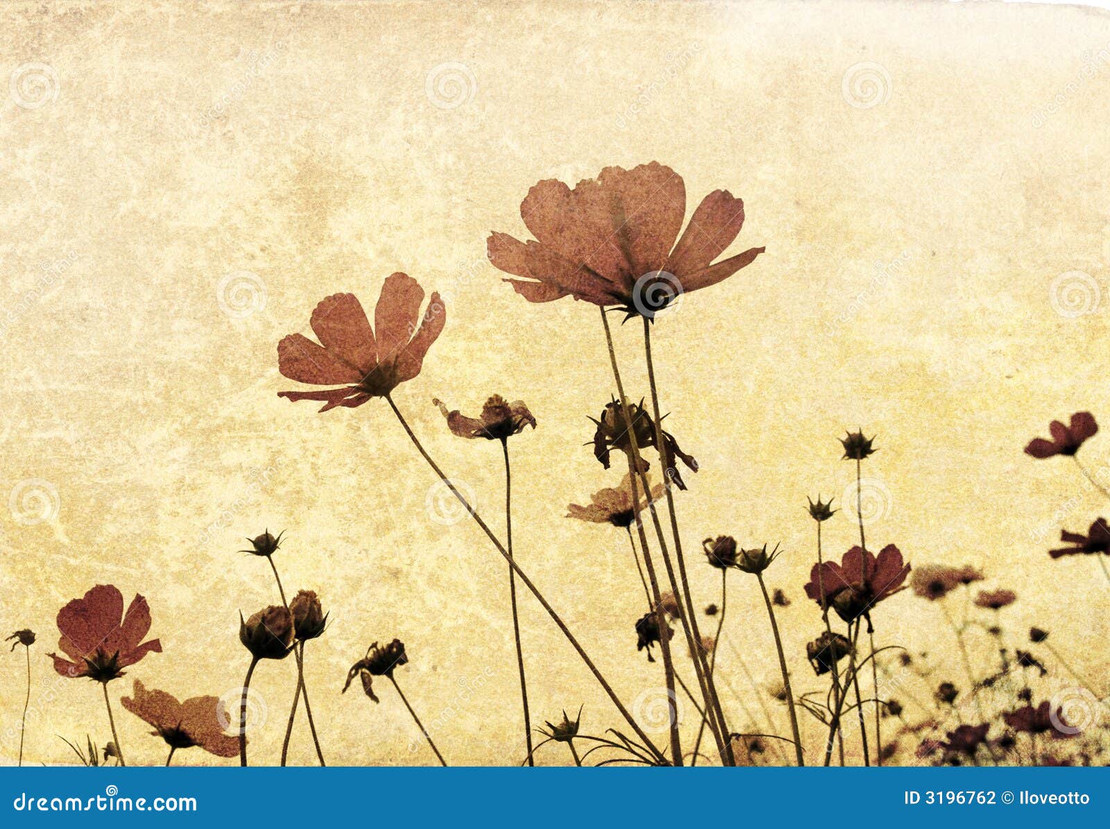 Oldfashioned flower stock illustration. Illustration of effect 3196762