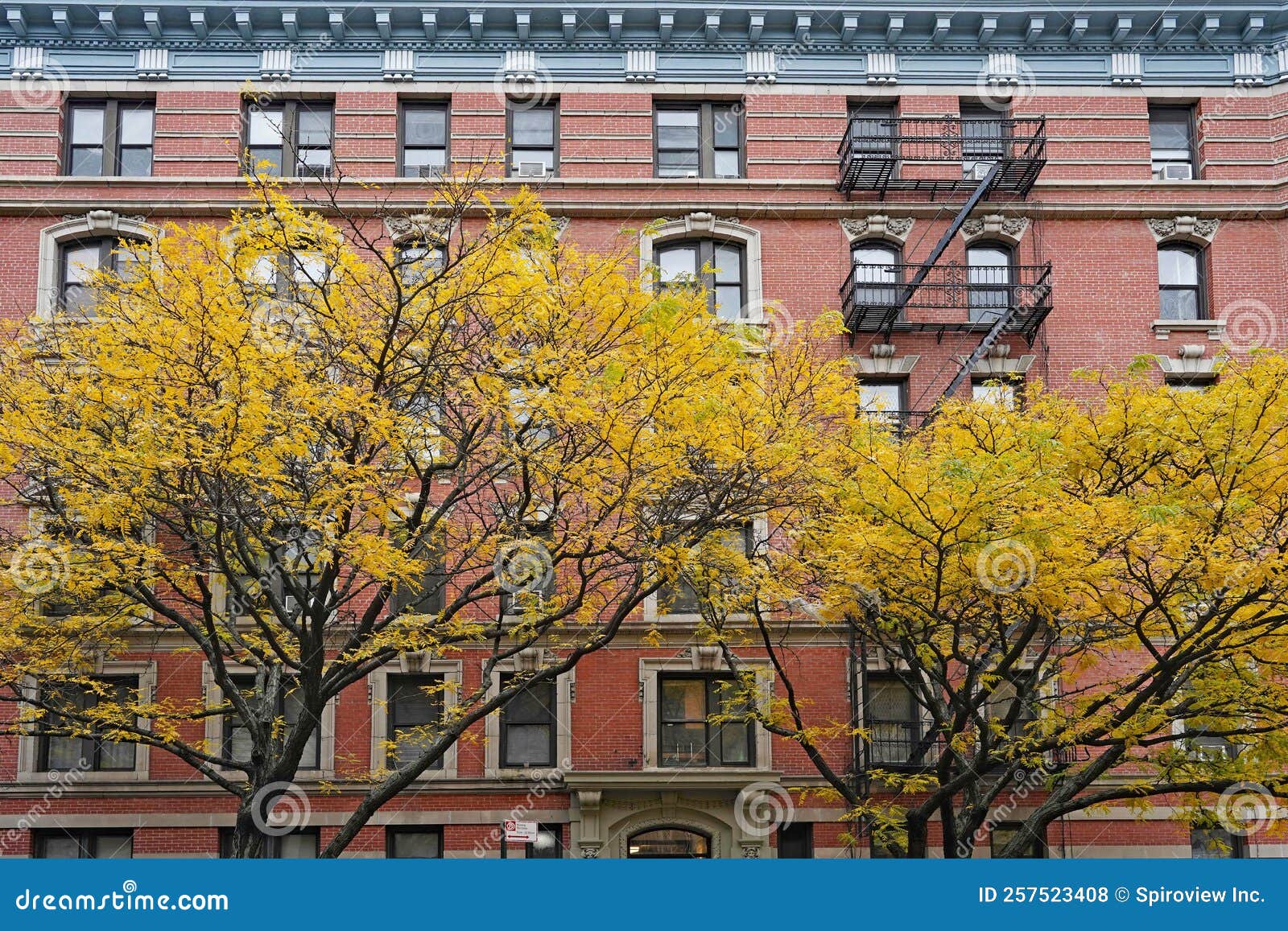 Old Fashioned New York Apartment Building with Ornate Window Frames