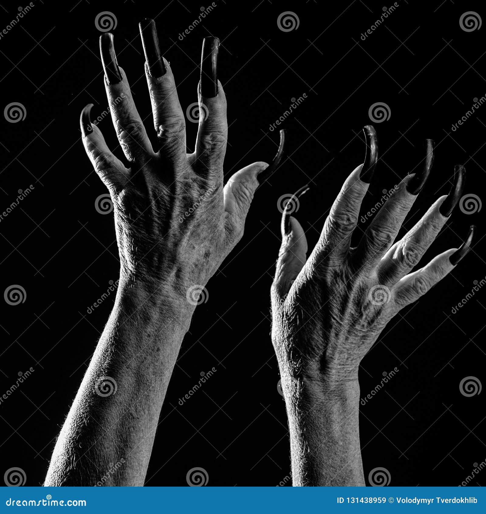 Old female hands with long nails Stock Photo - Alamy