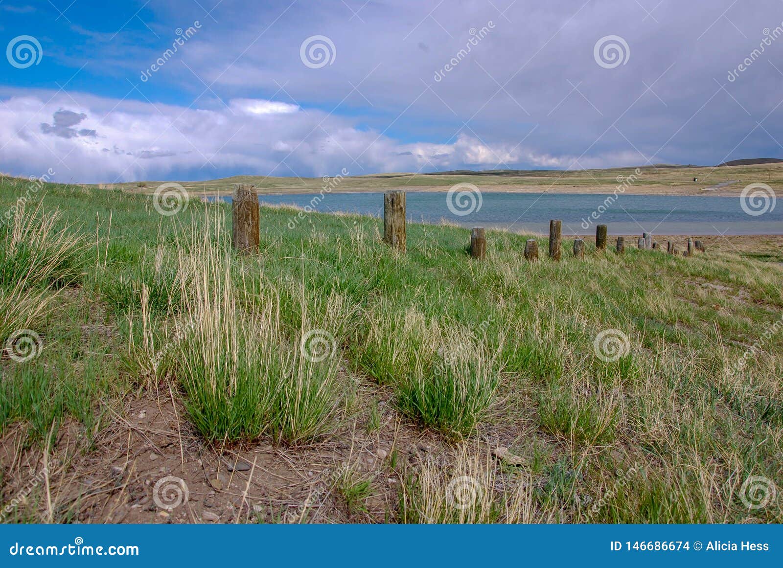 Old fence line near lake in ranch country Montana. An old fence line near a lake in ranch country Big Sky Montana. Beautiful spring green grasses.