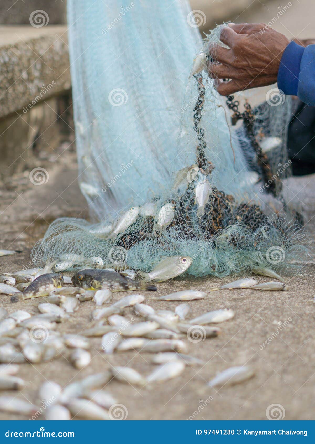 3,917 Small Fish Fishing Net Stock Photos - Free & Royalty-Free Stock  Photos from Dreamstime