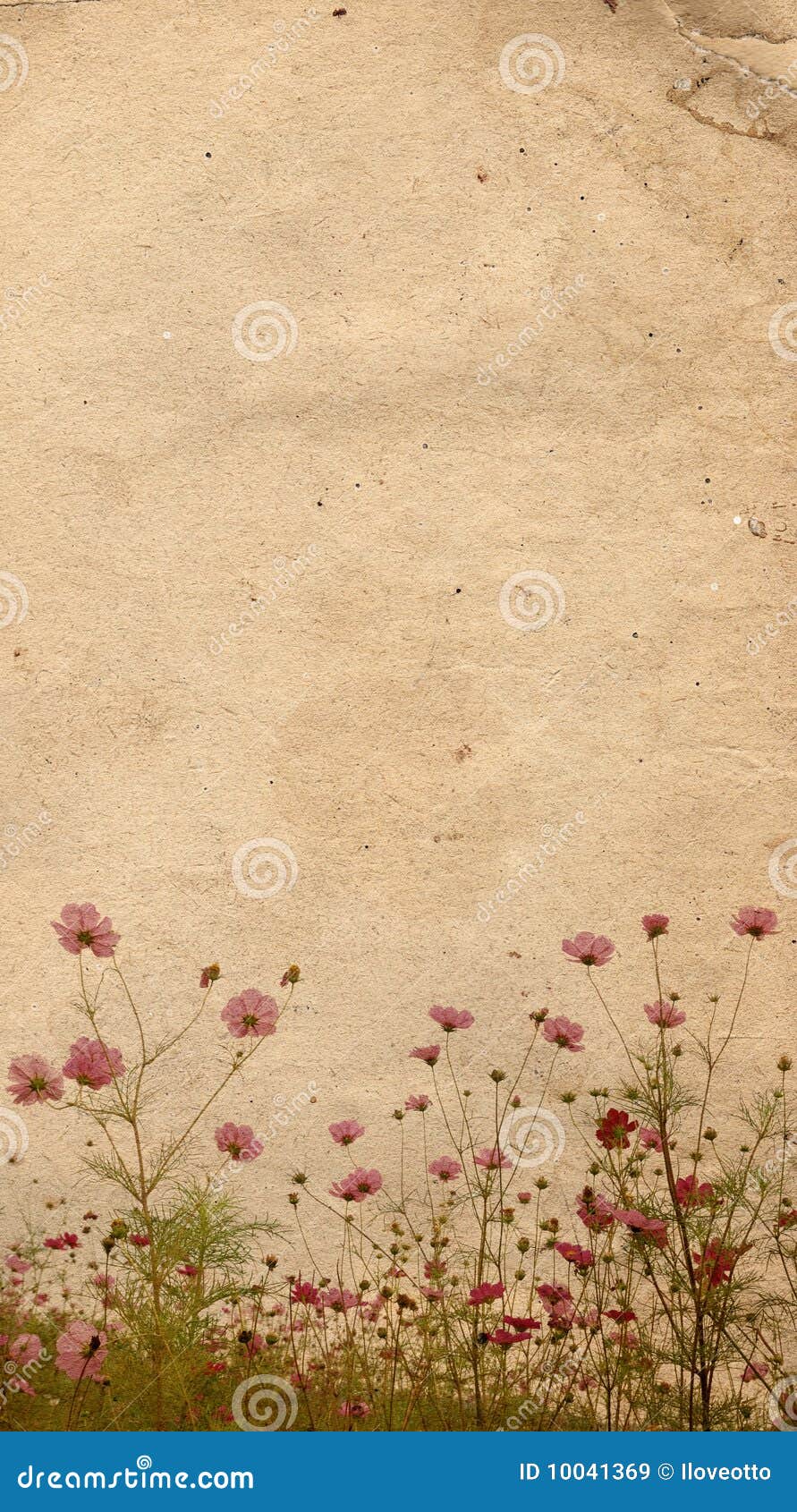 Old flower stock image. Image of grime, artistic, distressed 10041369