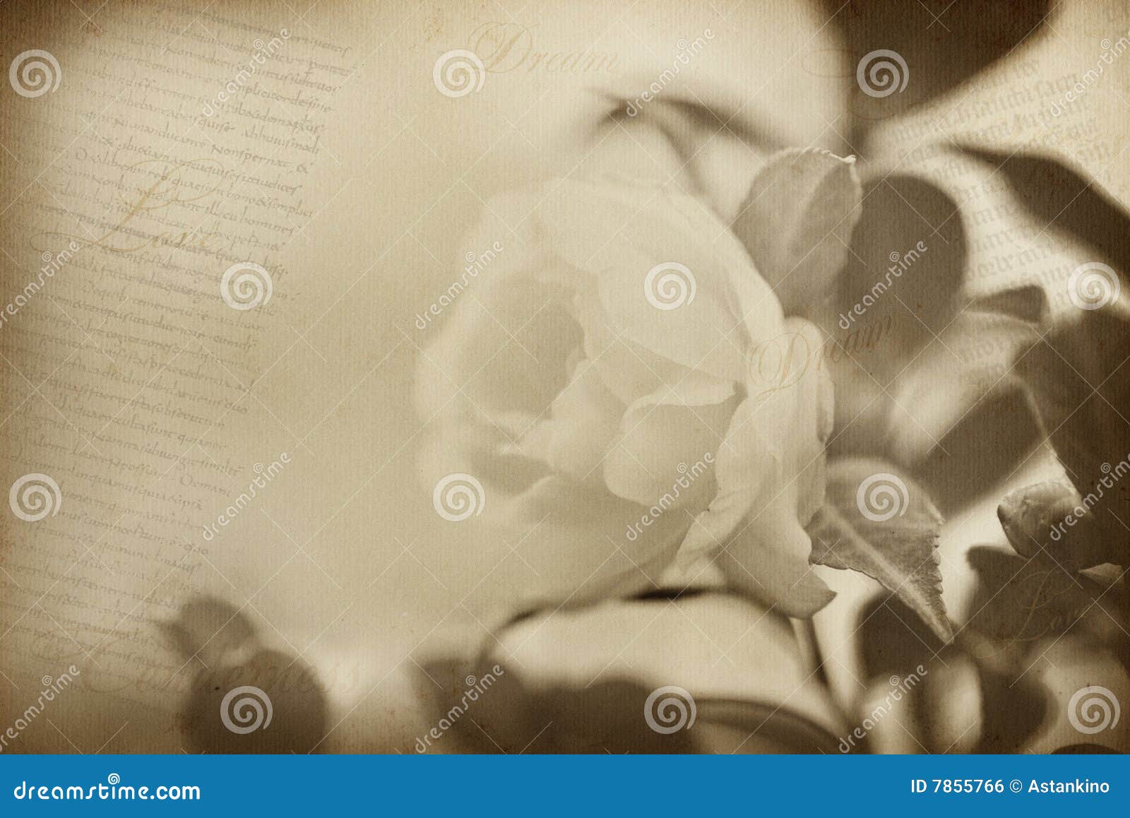 54,188 Simple Flower Background Stock Photos - Free & Royalty-Free Stock  Photos from Dreamstime