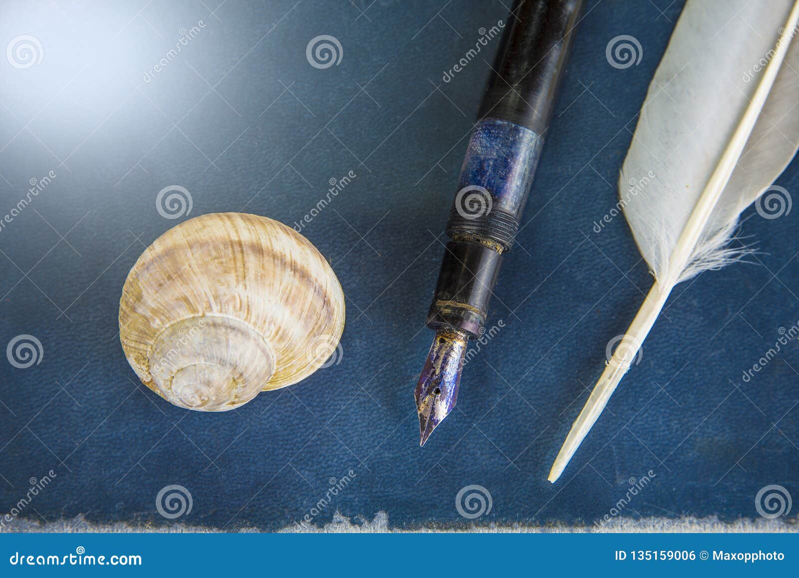 Old Fountain Pen with Feather on a Book Stock Photo Image of fountain